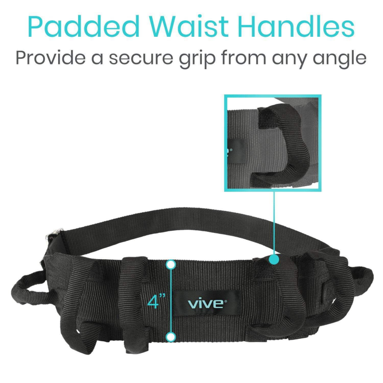 Vive Transfer Belt