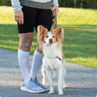 Women's Essential Cotton Calf Compression Stockings thumbnail